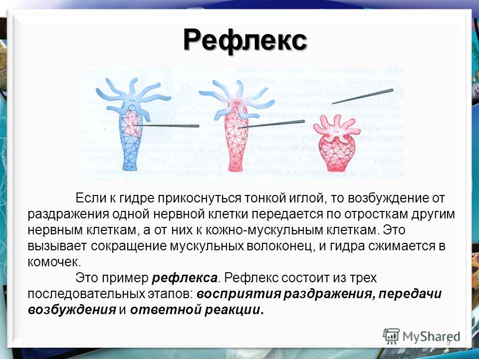 Кракен вход на сайт